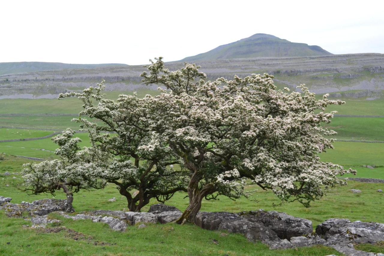 Dalecote Barn Bed & Breakfast Ingleton  Bagian luar foto