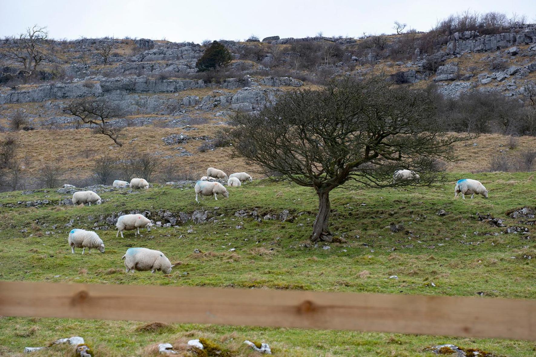 Dalecote Barn Bed & Breakfast Ingleton  Bagian luar foto
